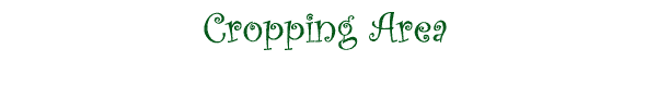 Cropping Area